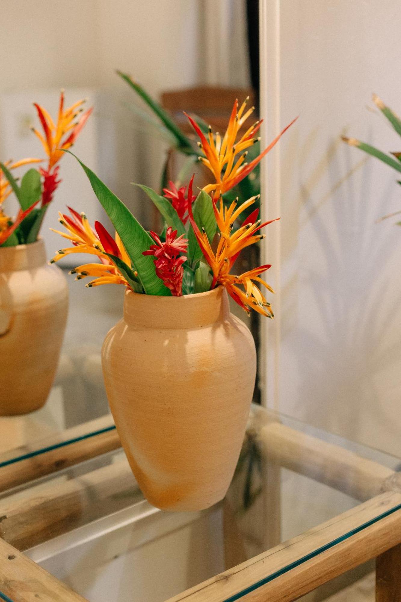 Pariri Suites 托兰克索 外观 照片